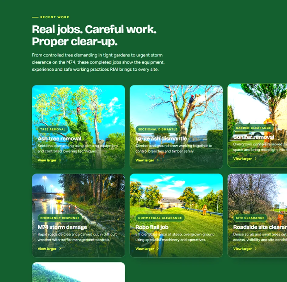 RIAI Tree Surgeons recent work gallery showing real tree surgery and vegetation clearance projects